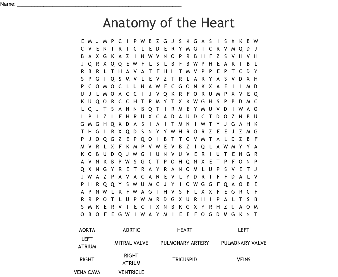 Anatomy Of The Heart Word Search - Wordmint - Printable Grey&amp;#039;s Anatomy Crossword Puzzles