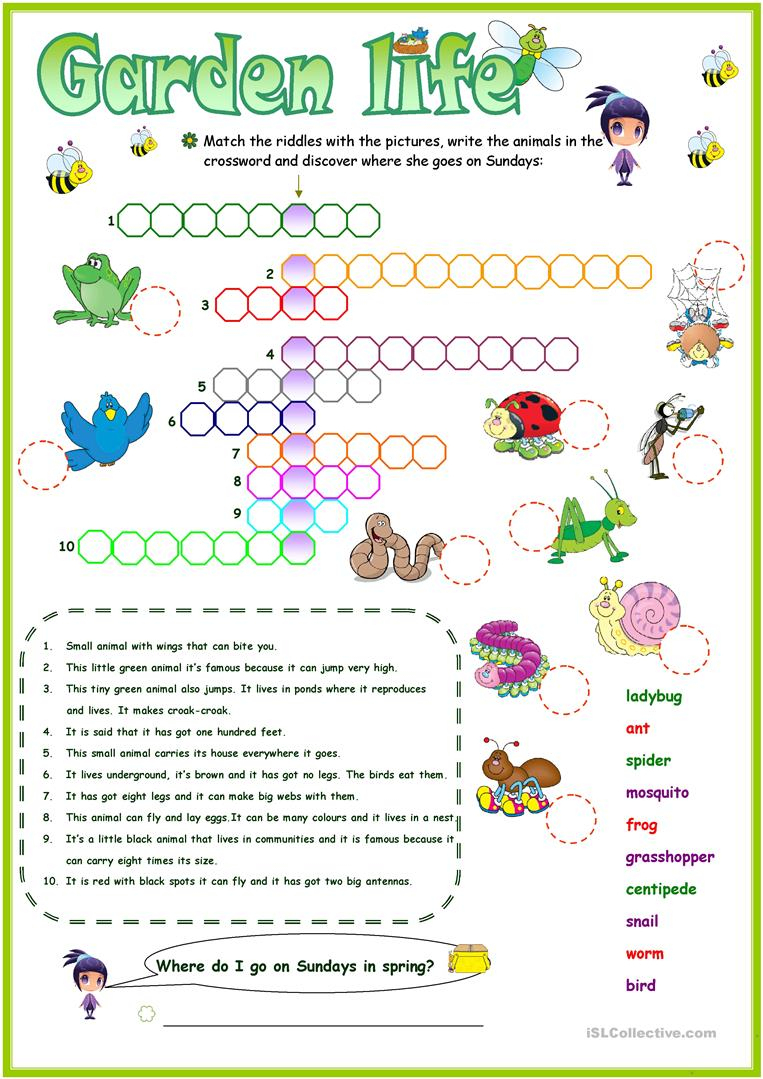 Animals In The Garden Crossword Worksheet - Free Esl Printable - Printable Gardening Crossword Puzzle