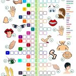 Body Parts   Crossword Worksheet   Free Esl Printable Worksheets   Printable Crossword Puzzles For Esl Learners