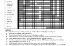 Cell Organelle Crossword Puzzle - Printable Blockbuster Crossword Puzzles
