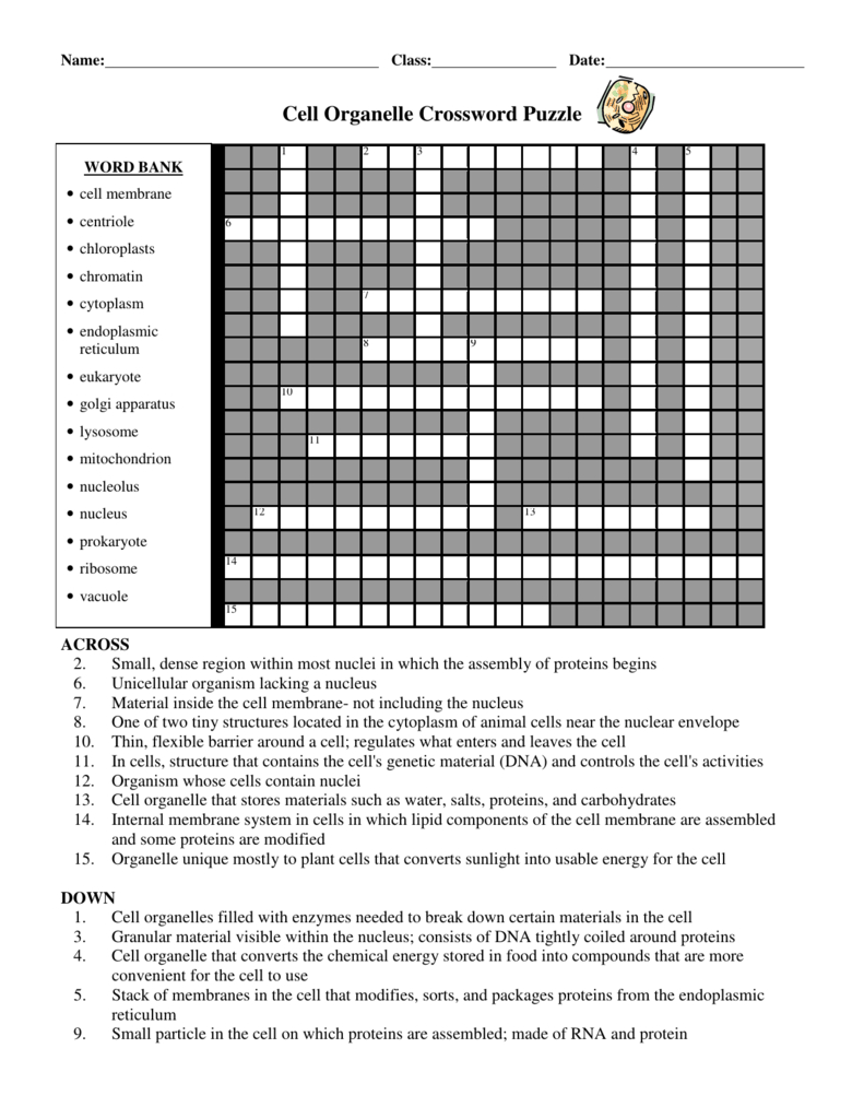 Cell Organelle Crossword Puzzle - Printable Blockbuster Crossword Puzzles
