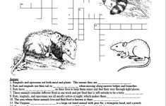 Creatures Of The Night Crossword Puzzle - Texas Wildlife Association - Wildlife Crossword Puzzle Printable