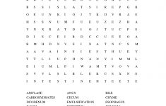 Digestive System Word Search.doc - The Digestive System | Science - Crossword Puzzles Printable 7Th Grade