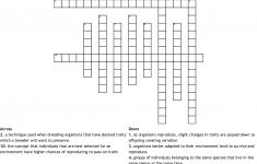 Evolution Vocab Quiz Crossword - Wordmint - Printable Vocabulary Quiz Crossword Puzzle