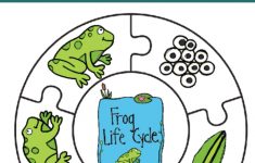 Frog Life Cycle Printable Puzzle - Views From A Step Stool - Printable Frog Puzzle