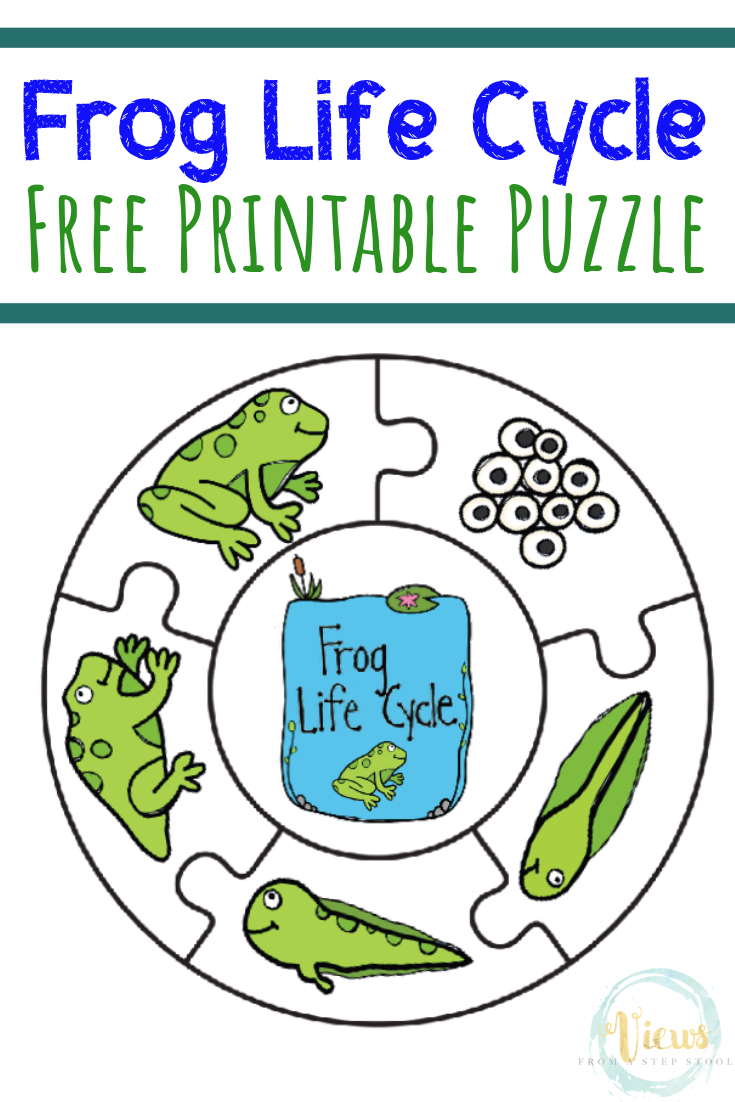 Frog Life Cycle Printable Puzzle - Views From A Step Stool - Printable Frog Puzzle