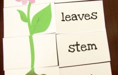 Great Printable Resources – Plants | Preschool | Parts Of A Plant - Printable Flower Puzzle