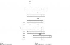 Hairy Insect Crossword - Insect Foto And Image In 2019 - Insect Crossword Puzzle Printable