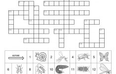 Hairy Insect Crossword - Insect Foto And Image In 2019 - Printable Laxcrossword