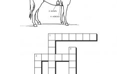 Horse And Tack Cross Word Puzzle | Tr Lesson Plans | Horses, Horse - Printable Crossword Puzzles Horses