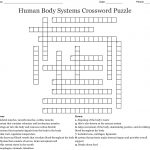 Human Body Systems Crossword Puzzle Crossword   Wordmint   Anatomy Crossword Puzzles Printable