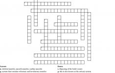Human Body Systems Crossword Puzzle Crossword - Wordmint - Anatomy Crossword Puzzles Printable