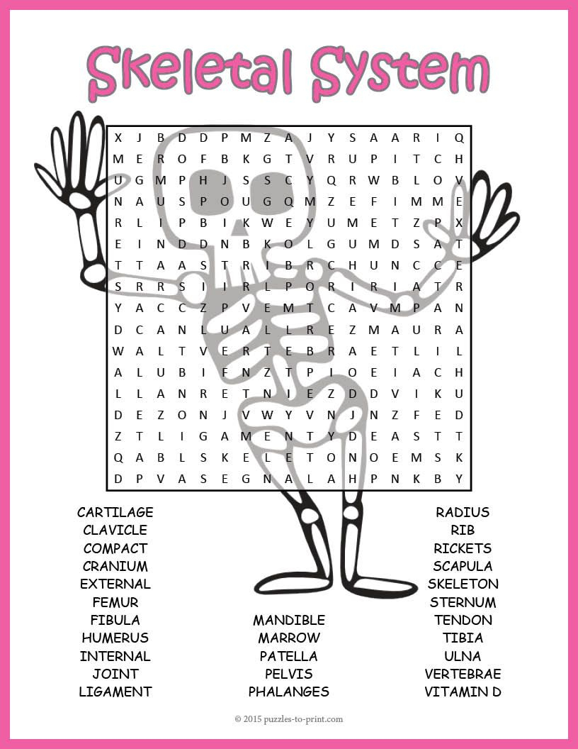 Human Skeletal System Word Search Worksheet | Tpt Science Lessons - Printable Skeletal System Crossword Puzzle