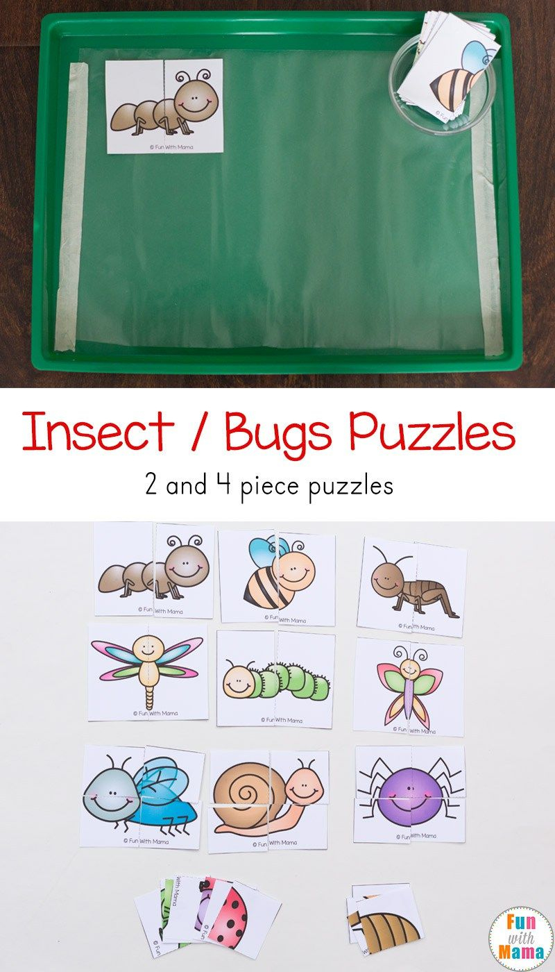 Insect Theme Printable Puzzles | Todds | Bug Activities, Insect - Printable 2 Piece Puzzles
