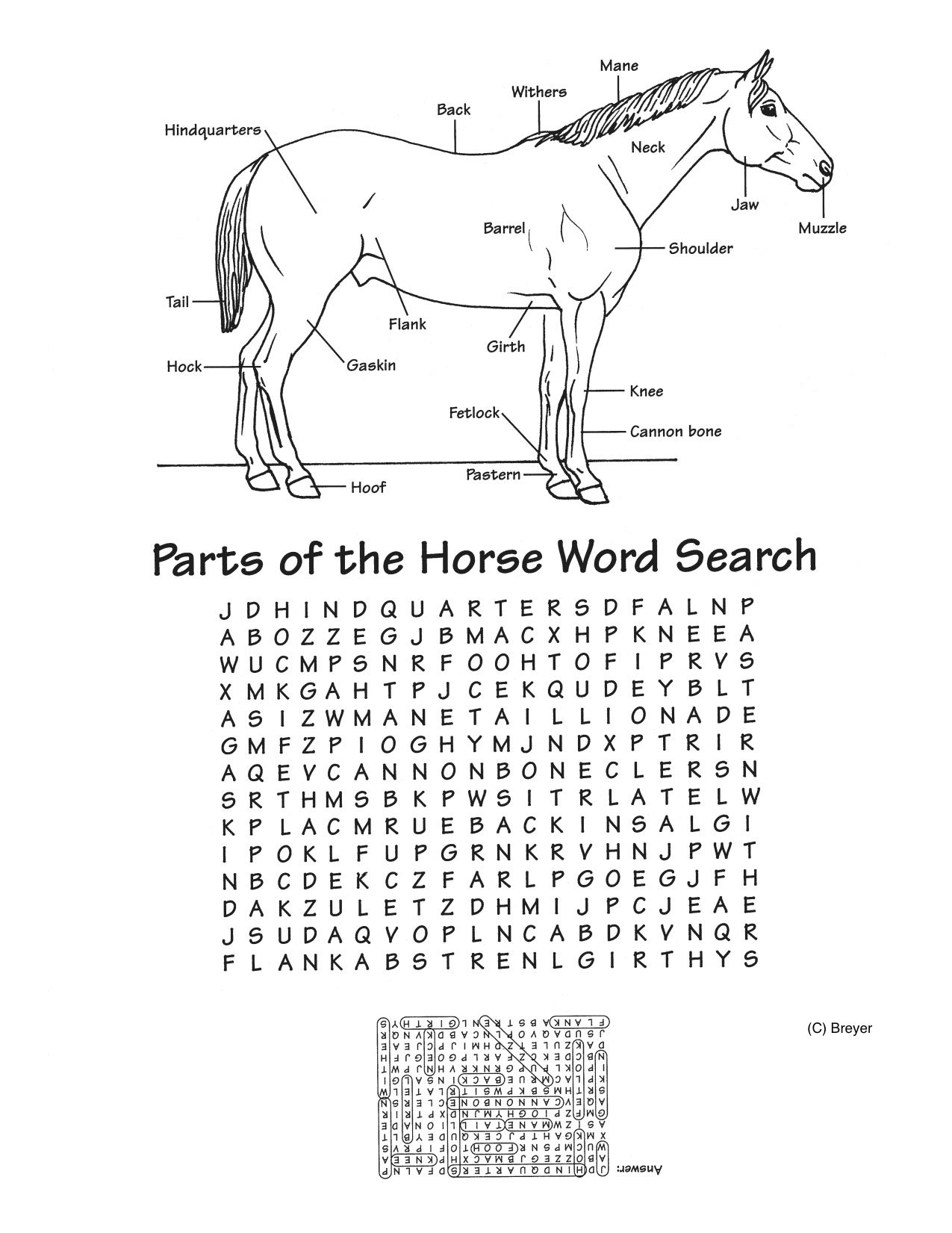 Jackpot Of Several Free Printables For Horse Lovers And - Printable Crossword Puzzles Horses