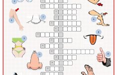 Parts Of The Body Crossword Worksheet - Free Esl Printable - Printable Body Puzzle