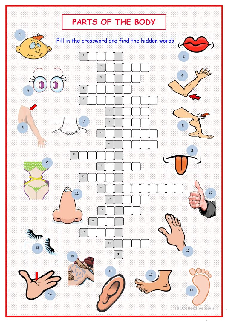Parts Of The Body Crossword Worksheet - Free Esl Printable - Printable Body Puzzle