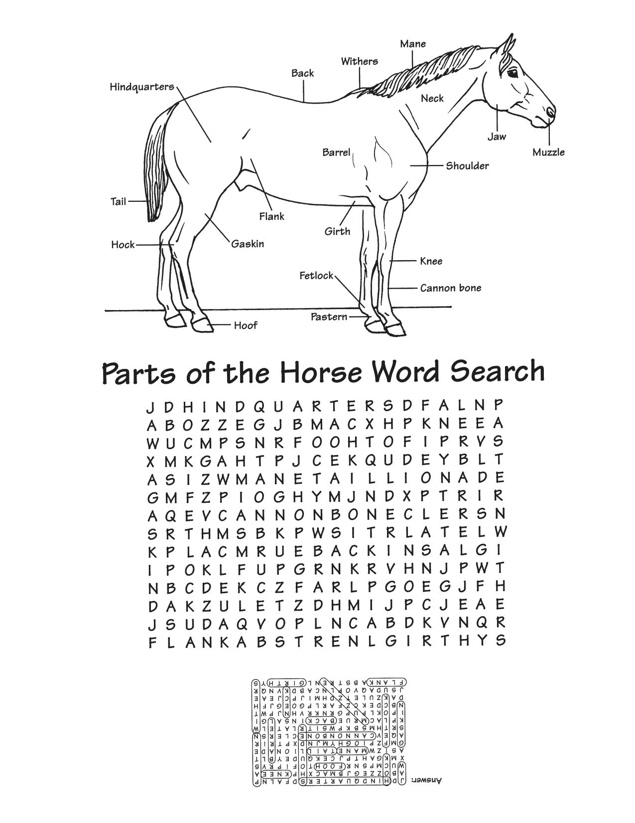 Parts Of The Horse Word Search … | Pony Camp | Horse… - Printable Horse Puzzle