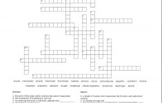 Respiratory System Crossword Puzzle | Activity Shelter - Respiratory System Crossword Puzzle Printable