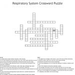 Respiratory System Crossword Puzzle Crossword   Wordmint   Respiratory System Crossword Puzzle Printable