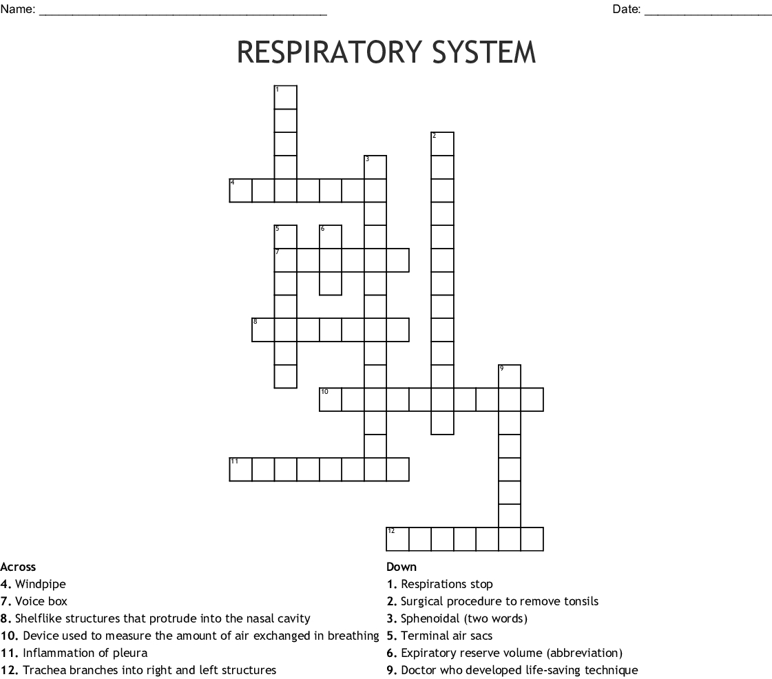 Respiratory System Crossword - Wordmint - Respiratory System Crossword Puzzle Printable