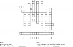 Skeletal System Crossword - Wordmint - Skeletal System Crossword Puzzle Printables