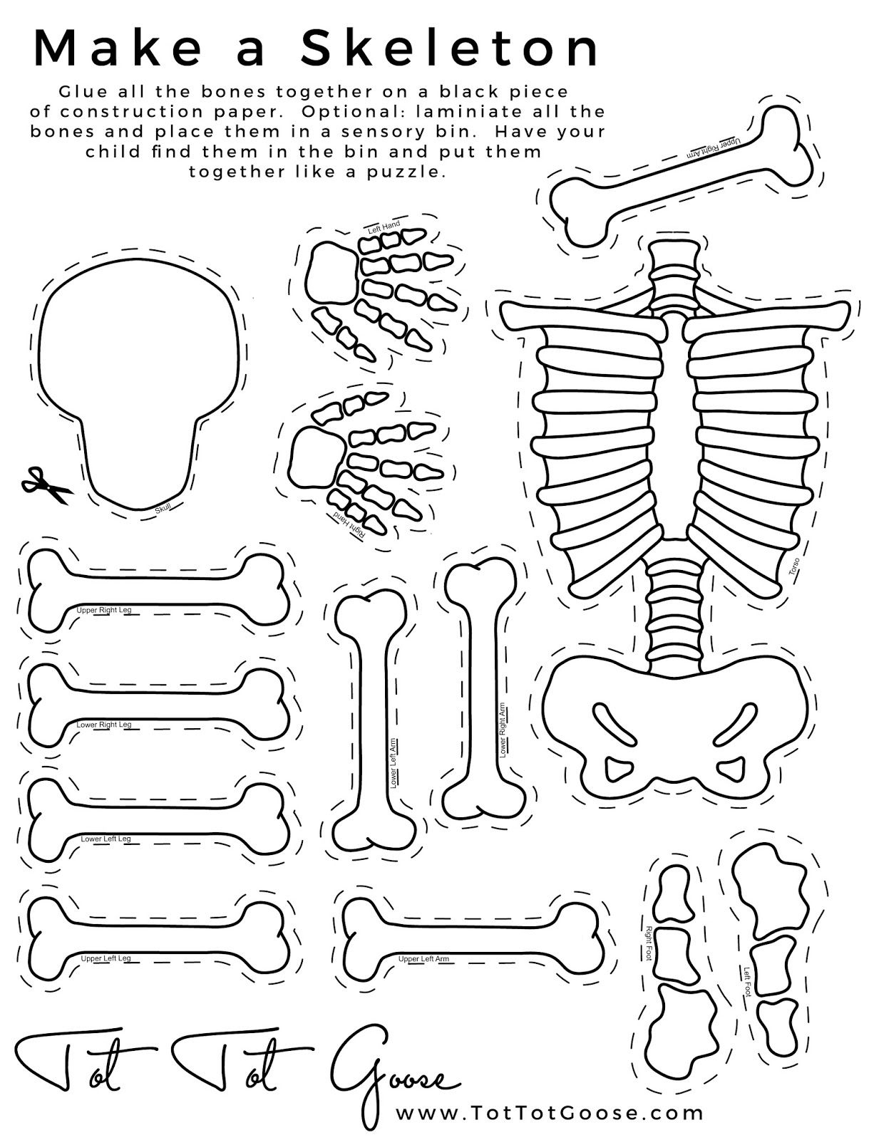 Skeleton Printable, All About Me Theme, Preschool Theme, All About - Printable Body Puzzle