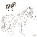 Zebra Dot To Dot | Free Printable Coloring Pages   Printable Zebra Puzzle