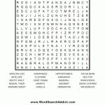 Zoo Animals Word Search Puzzle | Zoo Day Games | Word Puzzles   Printable Crossword Puzzles Nz